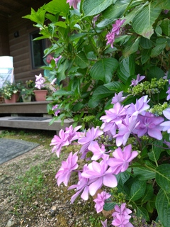 20250625_110733.JPG